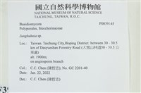 容氏菌屬藏品圖，第2張