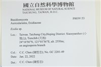 登錄號:F0039153藏品圖，第2張