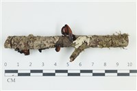 登錄號:F0039153藏品圖，第1張