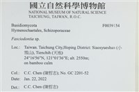 登錄號:F0039154藏品圖，第2張
