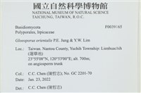 登錄號:F0039165藏品圖，第2張