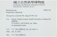 登錄號:F0039166藏品圖，第2張