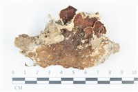 登錄號:F0039166藏品圖，第1張