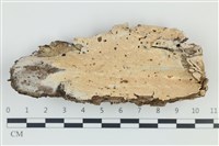 登錄號:F0039181藏品圖，第1張