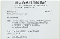 登錄號:F0039183藏品圖，第2張