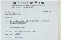 登錄號:F0039186藏品圖，第2張
