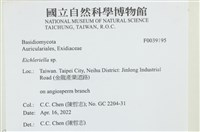 登錄號:F0039195藏品圖，第2張