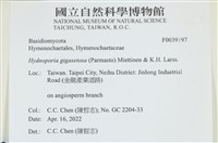 登錄號:F0039197藏品圖，第1張