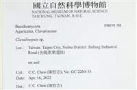 登錄號:F0039198藏品圖，第2張