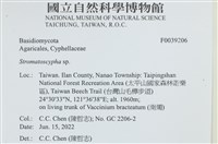 登錄號:F0039206藏品圖，第2張