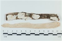 登錄號:F0039206藏品圖，第1張