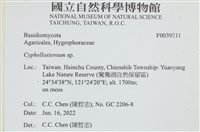 登錄號:F0039211藏品圖，第2張