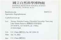 登錄號:F0039213藏品圖，第2張