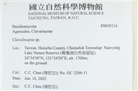 登錄號:F0039214藏品圖，第2張