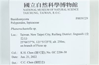登錄號:F0039229藏品圖，第2張