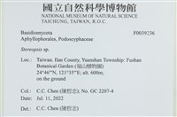 登錄號:F0039236藏品圖，第2張