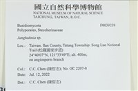 容氏菌屬藏品圖，第1張