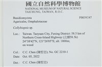 登錄號:F0039247藏品圖，第2張