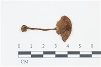 登錄號:F0039247藏品圖，第1張