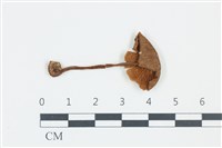 登錄號:F0039247藏品圖，第3張