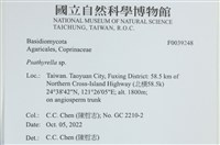 登錄號:F0039248藏品圖，第2張