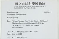 登錄號:F0039249藏品圖，第2張