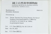 登錄號:F0039255藏品圖，第1張