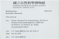 登錄號:F0039256藏品圖，第2張