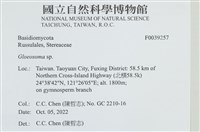 登錄號:F0039257藏品圖，第2張