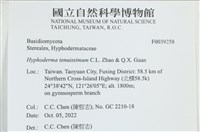 登錄號:F0039258藏品圖，第1張