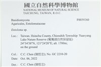 粉褶菌屬藏品圖，第2張