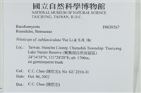 登錄號:F0039267藏品圖，第2張