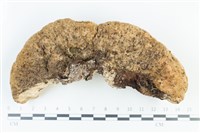 登錄號:F0039268藏品圖，第1張