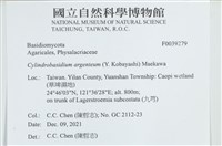 阿根廷柱擔菌藏品圖，第2張