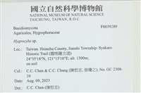 濕傘屬藏品圖，第1張