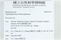 登錄號:F0039294藏品圖，第2張