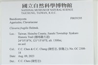 登錄號:F0039295藏品圖，第2張