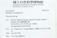 登錄號:F0039296藏品圖，第2張