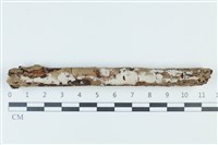 登錄號:F0039305藏品圖，第1張