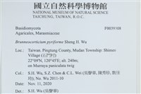 登錄號:F0039308藏品圖，第2張