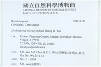 登錄號:F0039311藏品圖，第2張