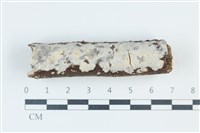 登錄號:F0039311藏品圖，第1張