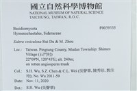 登錄號:F0039335藏品圖，第2張