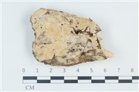 登錄號:F0039335藏品圖，第1張