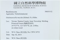 登錄號:F0039352藏品圖，第2張