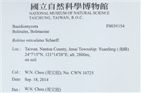 登錄號:F0039354藏品圖，第2張