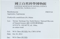 登錄號:F0039364藏品圖，第2張