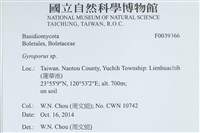 登錄號:F0039366藏品圖，第2張