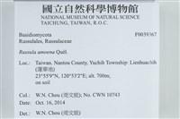 登錄號:F0039367藏品圖，第2張