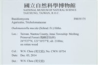 登錄號:F0039375藏品圖，第2張